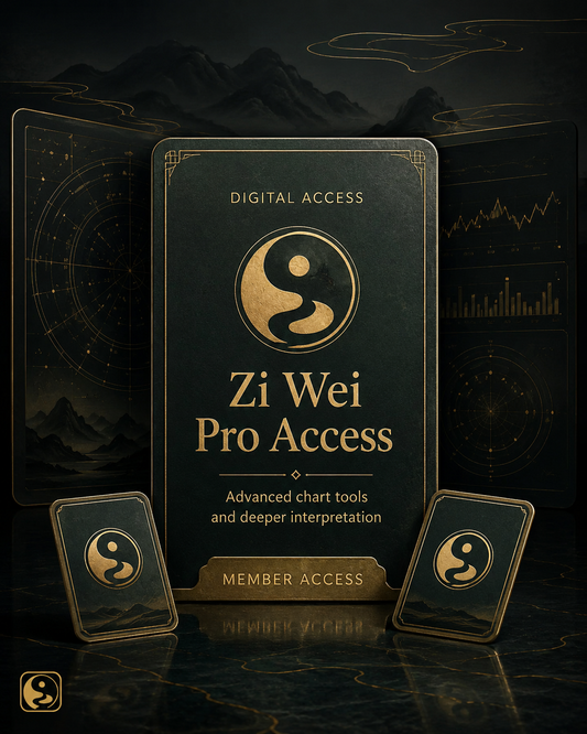 Zi Wei Pro Access digital product preview image 3