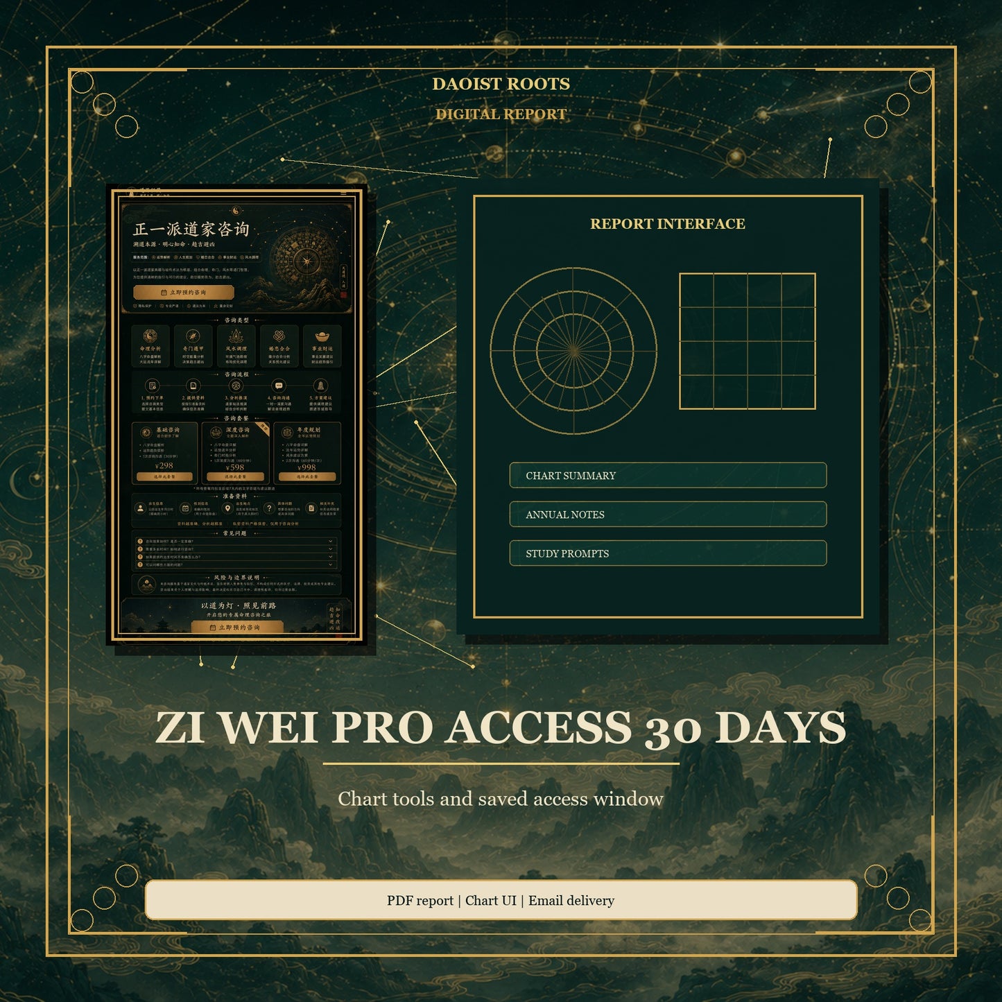 Zi Wei Pro Access 30 Days Daoist Roots product cover